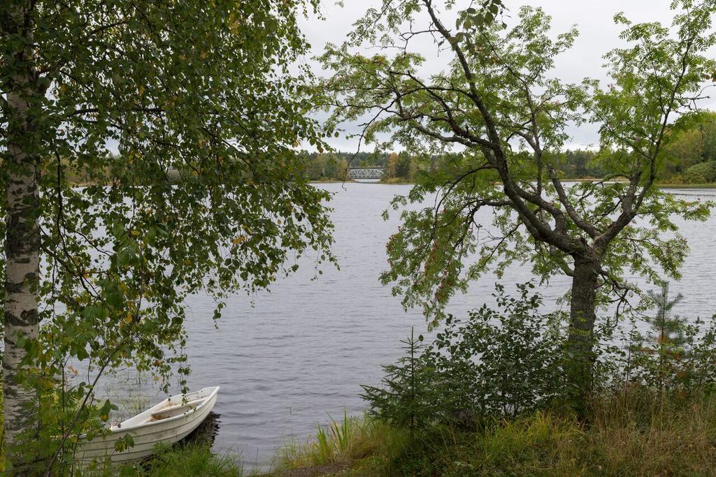 Lemettilae Countryside Accommodation Petäjävesi المظهر الخارجي الصورة