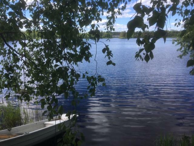 Lemettilae Countryside Accommodation Petäjävesi المظهر الخارجي الصورة